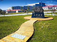 阿里天华矿业集团
