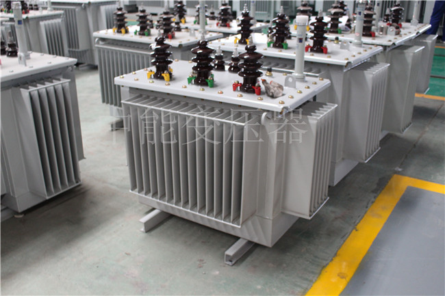 阿里S22-100KVA/10KV/0.4KV变压器